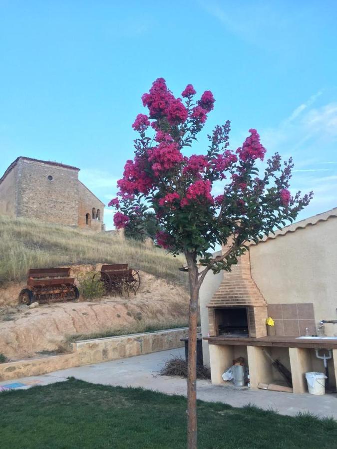Casa Rural La Charolesa Aguilera Buitenkant foto