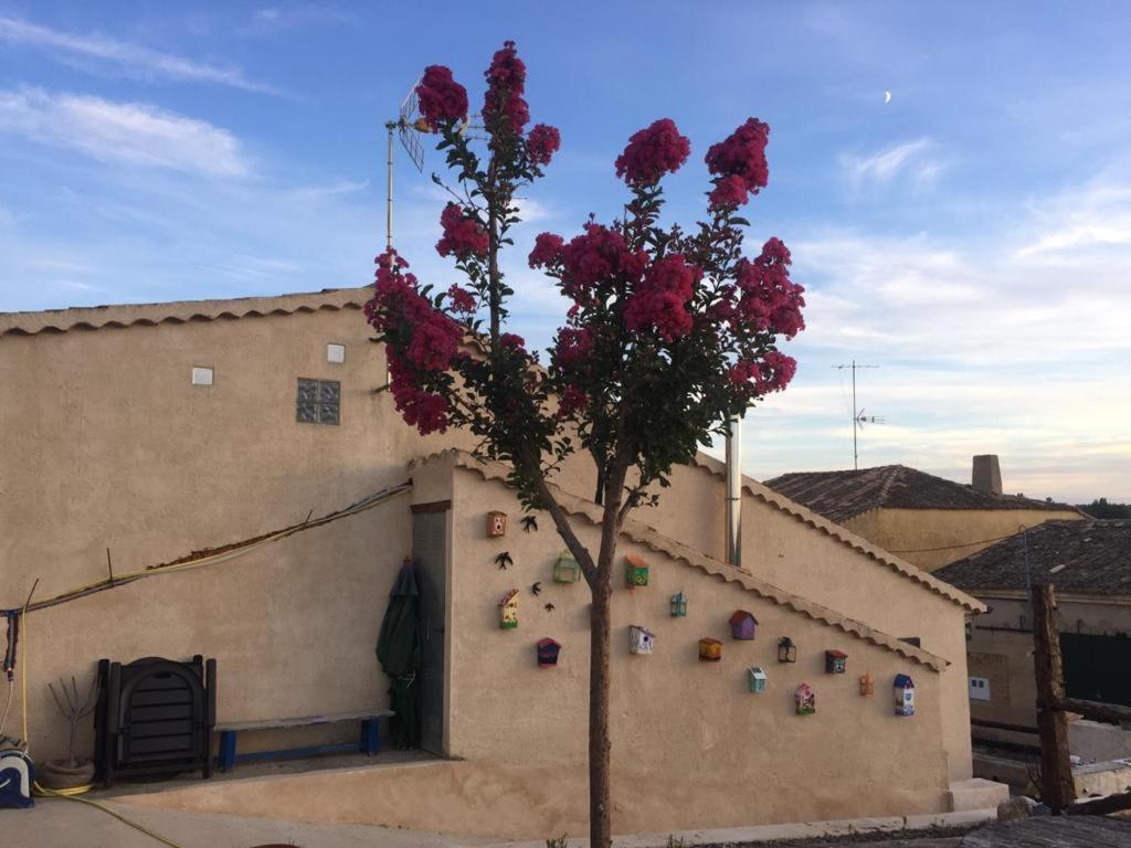 Casa Rural La Charolesa Aguilera Buitenkant foto